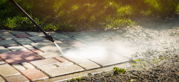 Best Oil Spill Cleanup  in Mount Carroll, IL
